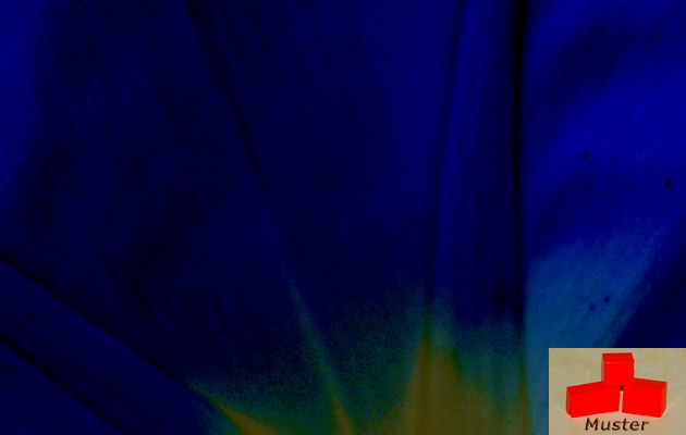 Wachsfarbe dunkelblau