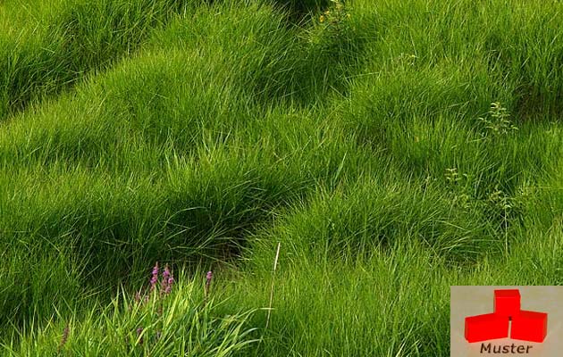 Wachsfarbe grasgrün