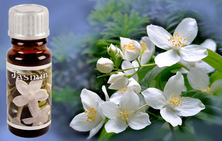 duftoel-jasmin Duftöl Jasmin