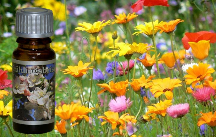 duftoel-fruehlingsbriese5465f66927c63