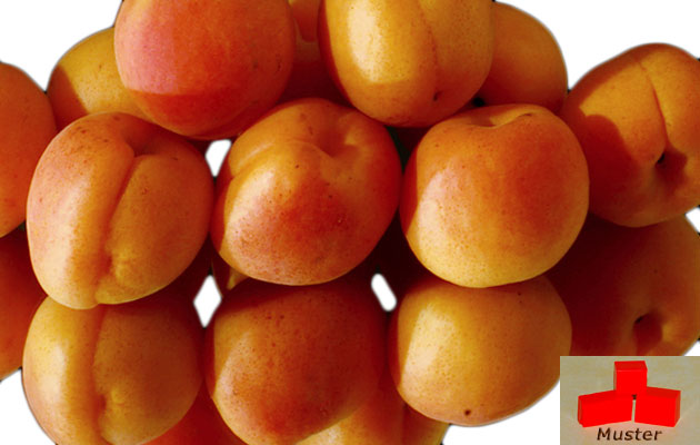 Wachsfarbe apricot