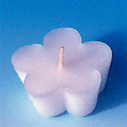 e6900fa82eaaec16c2b309c08f92acd5 Gießform Schwimmkerzen Form Blüte