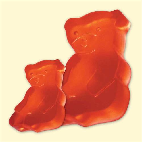 9b1afa9e870bd5b42a41e7f6a4b144a7 Reliefformen Teddybär groß + klein