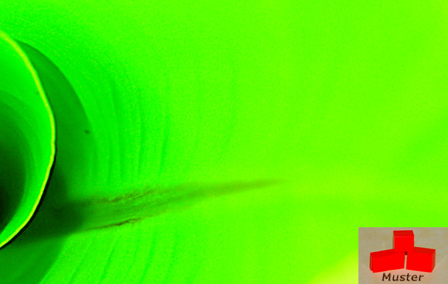 Wachsfarbe neongrün