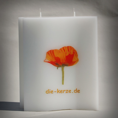 af4eb53e17a3270977e4f0be6ba10bd1 Gießform Welle